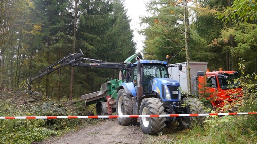 Großer Waldtag in Wittesheim - 12.10.2014