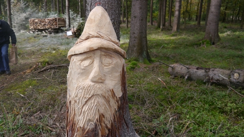 Großer Waldtag in Wittesheim - 12.10.2014