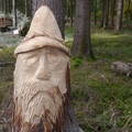 Großer Waldtag in Wittesheim - 12.10.2014