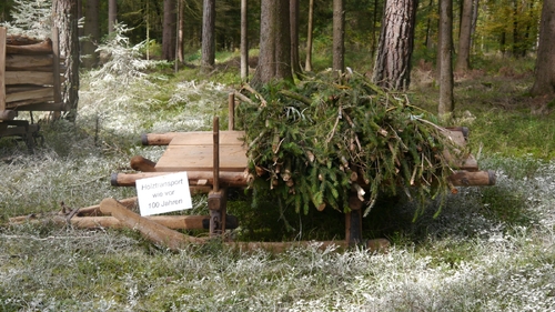 Großer Waldtag in Wittesheim - 12.10.2014