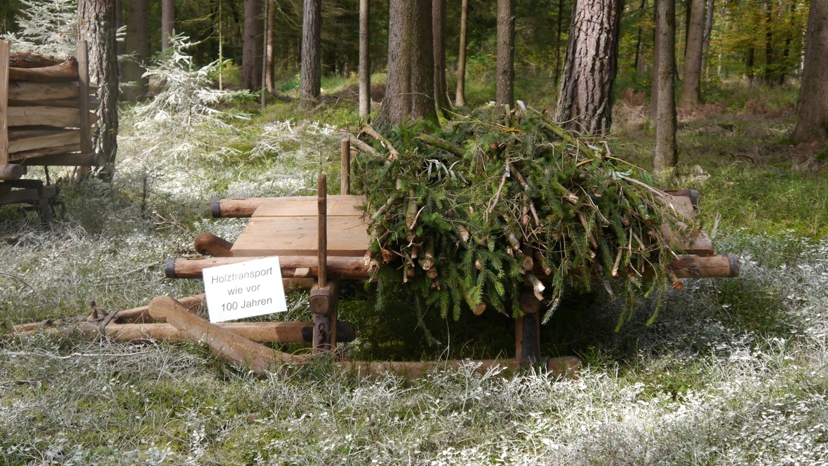 Großer Waldtag in Wittesheim - 12.10.2014
