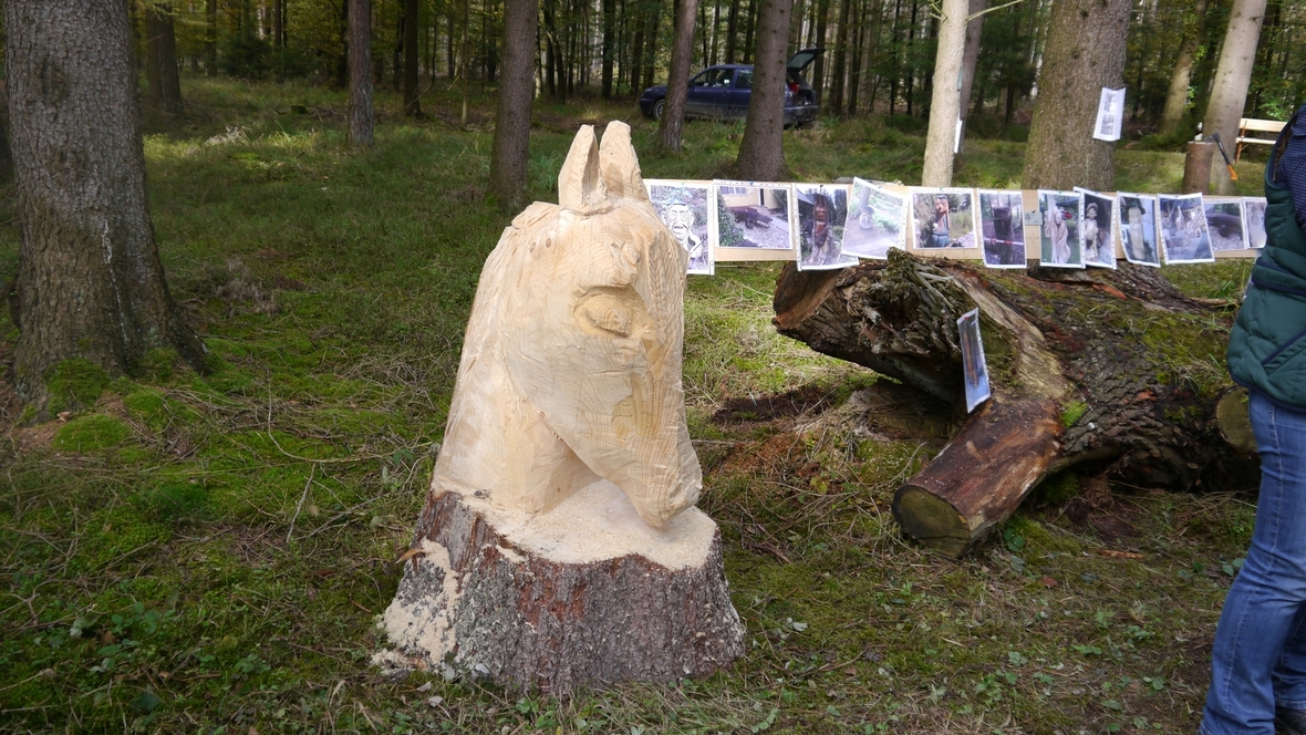 Großer Waldtag in Wittesheim - 12.10.2014