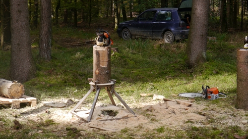 Großer Waldtag in Wittesheim - 12.10.2014