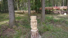 Großer Waldtag in Wittesheim - 12.10.2014