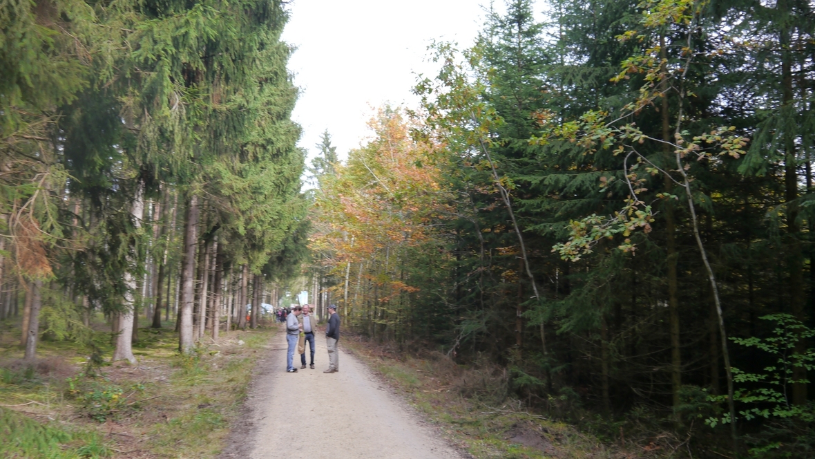 Großer Waldtag in Wittesheim - 12.10.2014