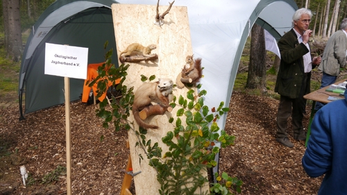 Großer Waldtag in Wittesheim - 12.10.2014