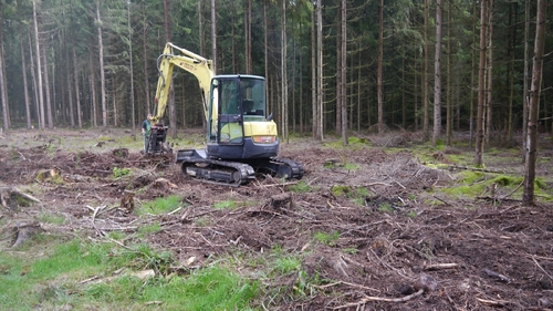 Großer Waldtag in Wittesheim - 12.10.2014