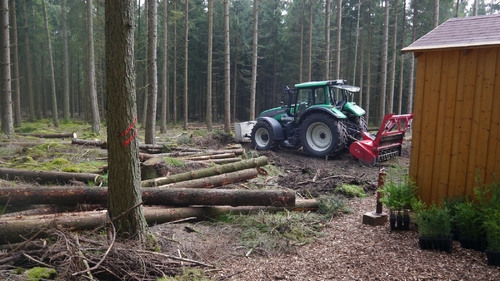 Großer Waldtag in Wittesheim - 12.10.2014