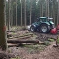 Großer Waldtag in Wittesheim - 12.10.2014