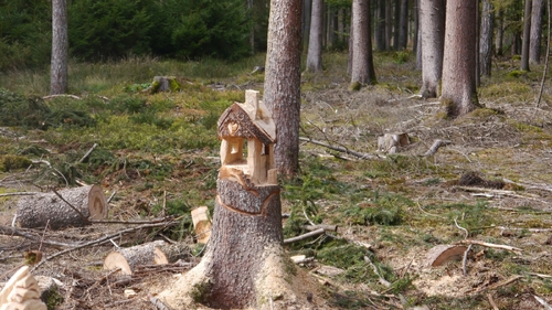 Großer Waldtag in Wittesheim - 12.10.2014