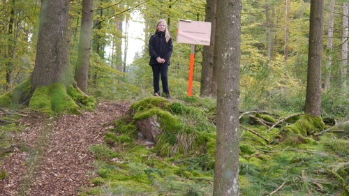 Großer Waldtag in Wittesheim - 12.10.2014