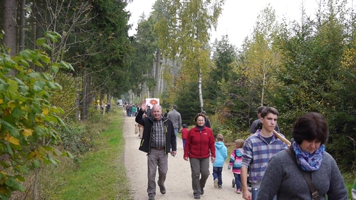 Großer Waldtag in Wittesheim - 12.10.2014