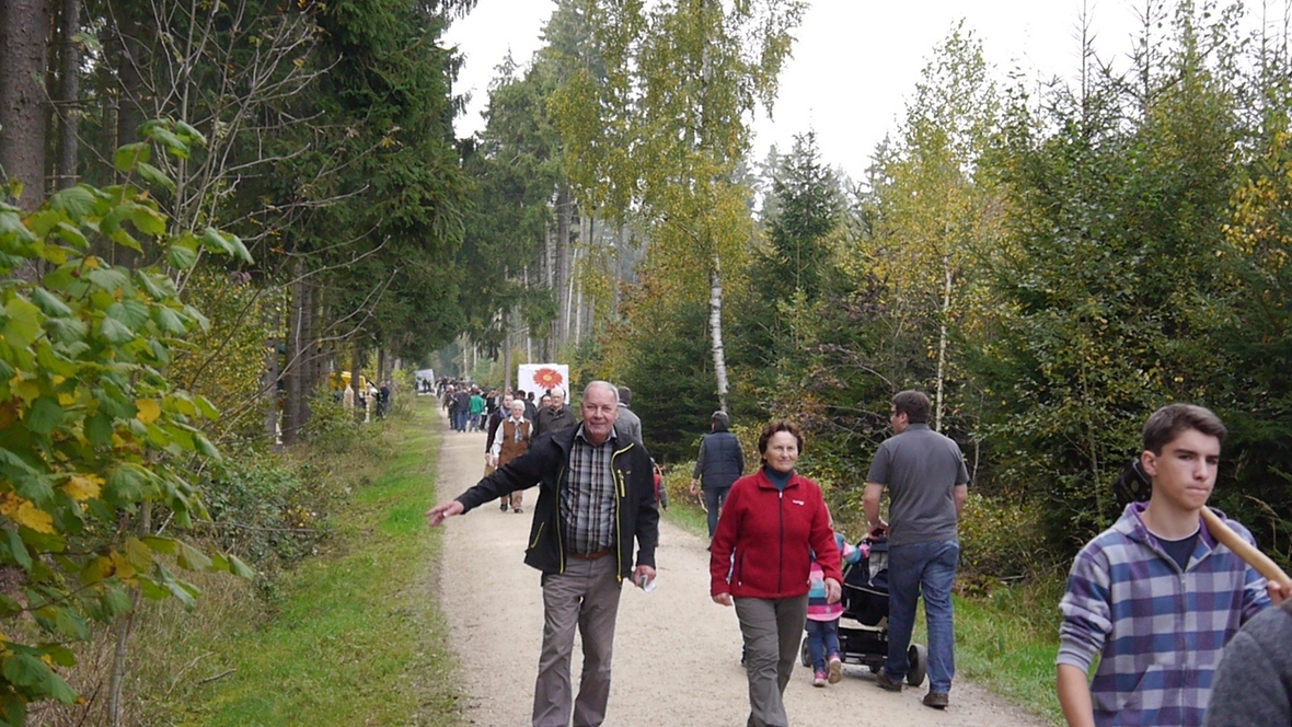 Großer Waldtag in Wittesheim - 12.10.2014