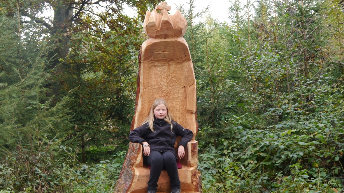 Großer Waldtag in Wittesheim - 12.10.2014
