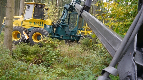 Großer Waldtag in Wittesheim - 12.10.2014