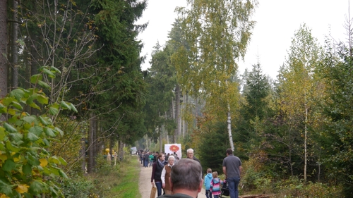 Großer Waldtag in Wittesheim - 12.10.2014