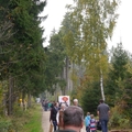 Großer Waldtag in Wittesheim - 12.10.2014