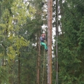 Großer Waldtag in Wittesheim - 12.10.2014