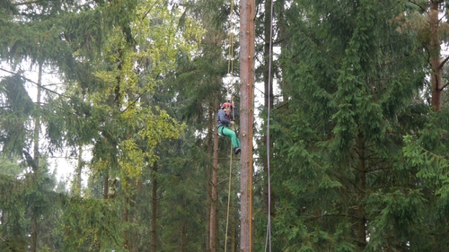 Großer Waldtag in Wittesheim - 12.10.2014