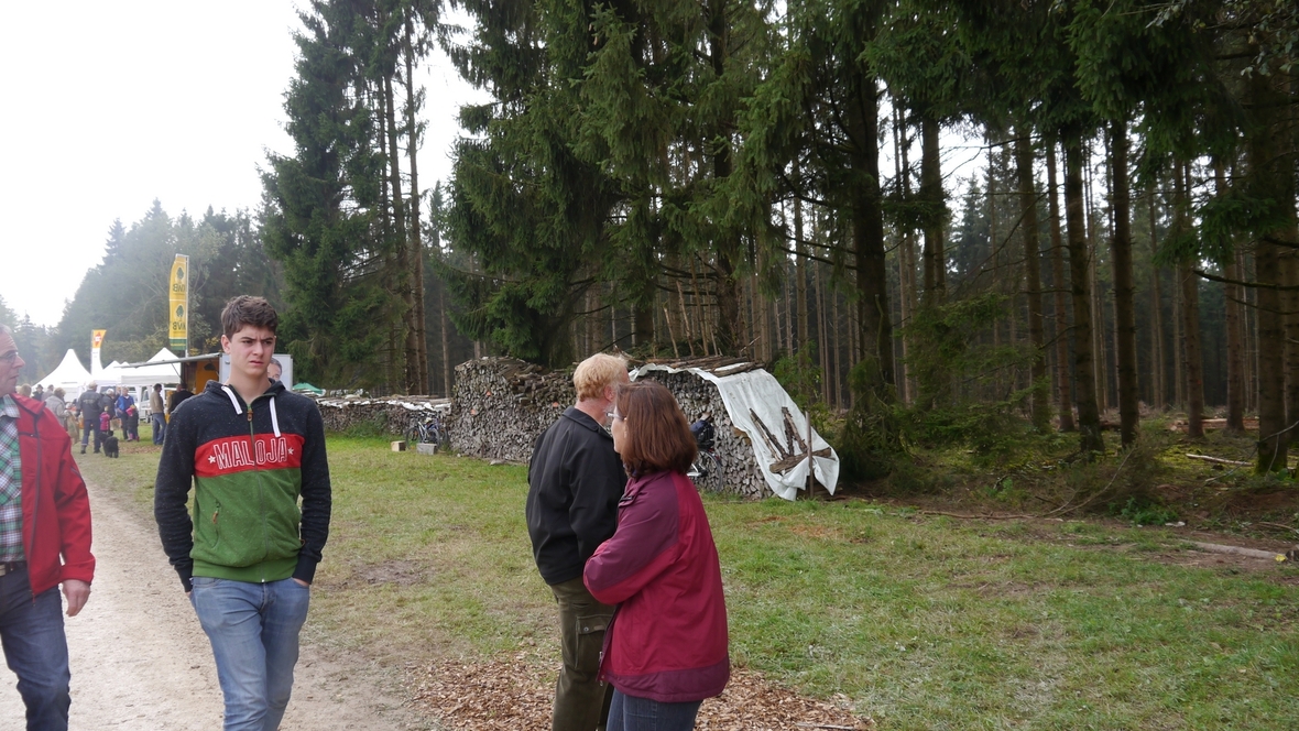 Großer Waldtag in Wittesheim - 12.10.2014