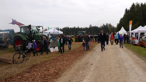 Großer Waldtag in Wittesheim - 12.10.2014