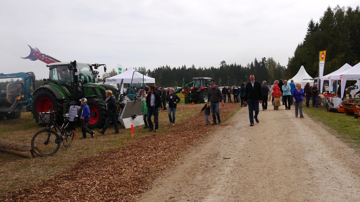 Großer Waldtag in Wittesheim - 12.10.2014