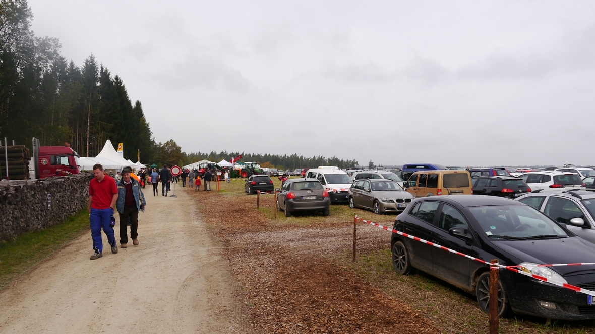 Großer Waldtag in Wittesheim - 12.10.2014