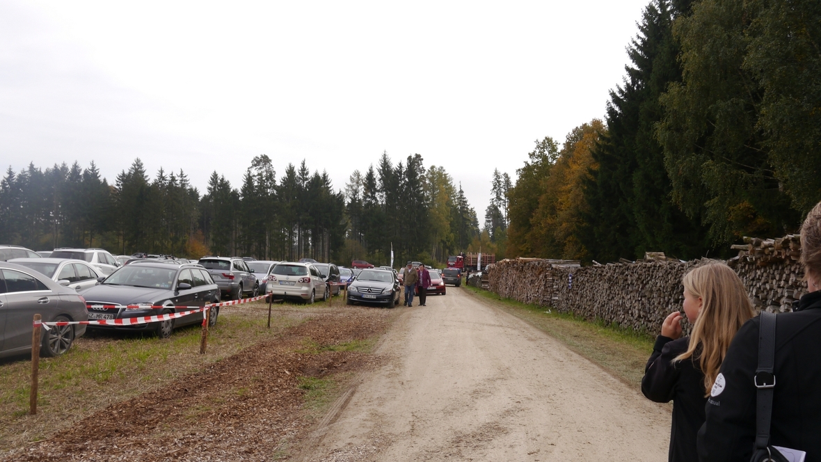 Großer Waldtag in Wittesheim - 12.10.2014