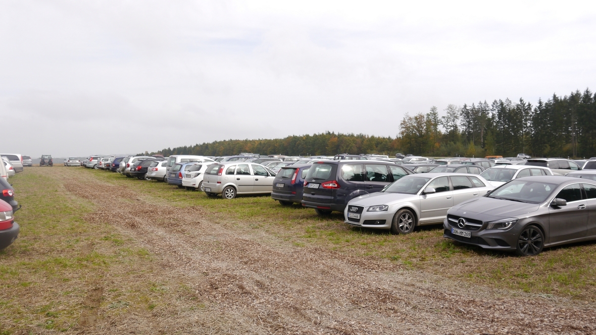 Großer Waldtag in Wittesheim - 12.10.2014