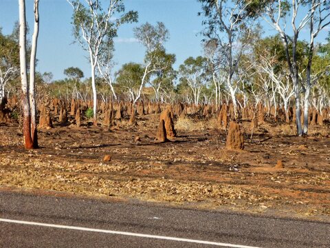 Australien