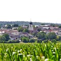 Ernte und Sommer 2015