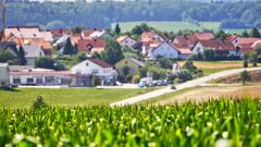 Ernte und Sommer 2015