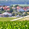 Ernte und Sommer 2015