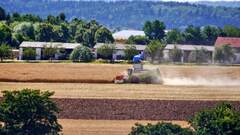 Ernte und Sommer 2015