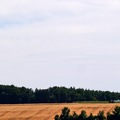 Ernte und Sommer 2015