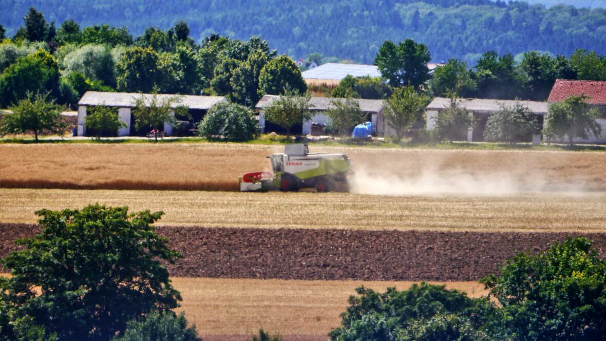 Ernte und Sommer 2015