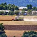 Ernte und Sommer 2015