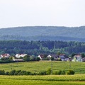 Ernte und Sommer 2015