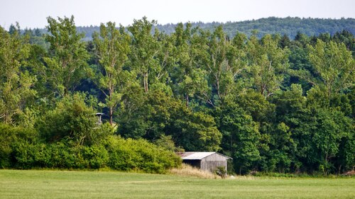 Ernte und Sommer 2015