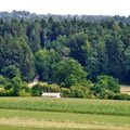 Ernte und Sommer 2015
