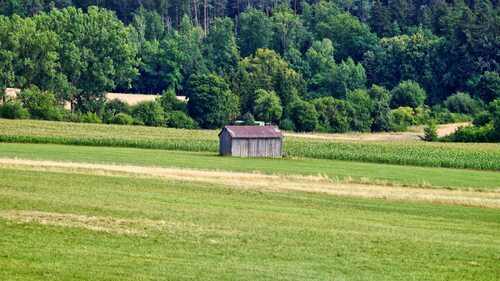 Ernte und Sommer 2015