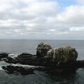Chile