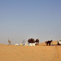 Abu Dhabi - Vereinigte Arabische Emirate